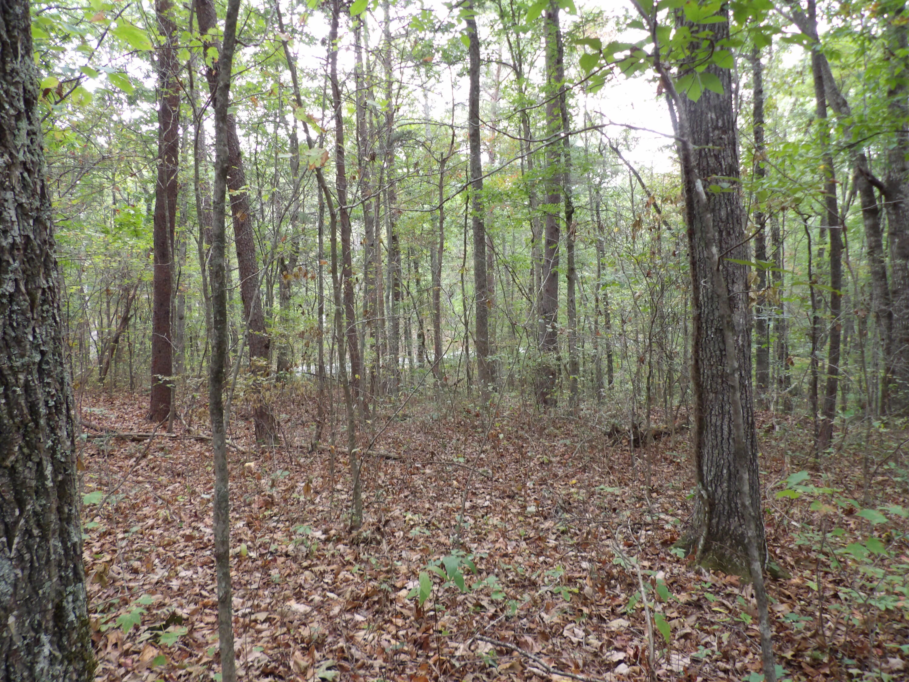 0 Deerhead Road, Unit 1 Dunlap, TN 37327 - Photo 21 of 29 100_0857