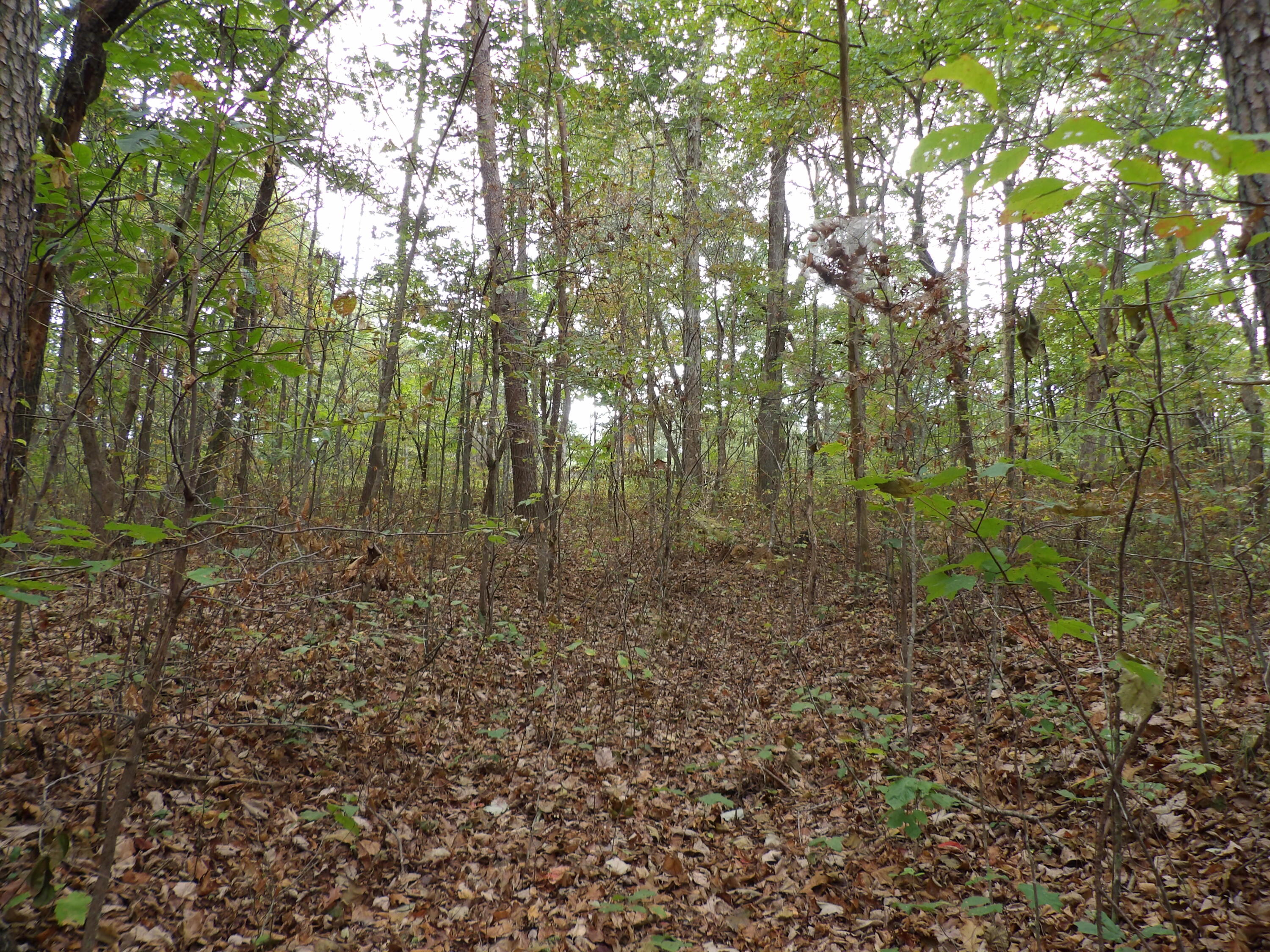0 Deerhead Road, Unit 1 Dunlap, TN 37327 - Photo 25 of 29 100_0861