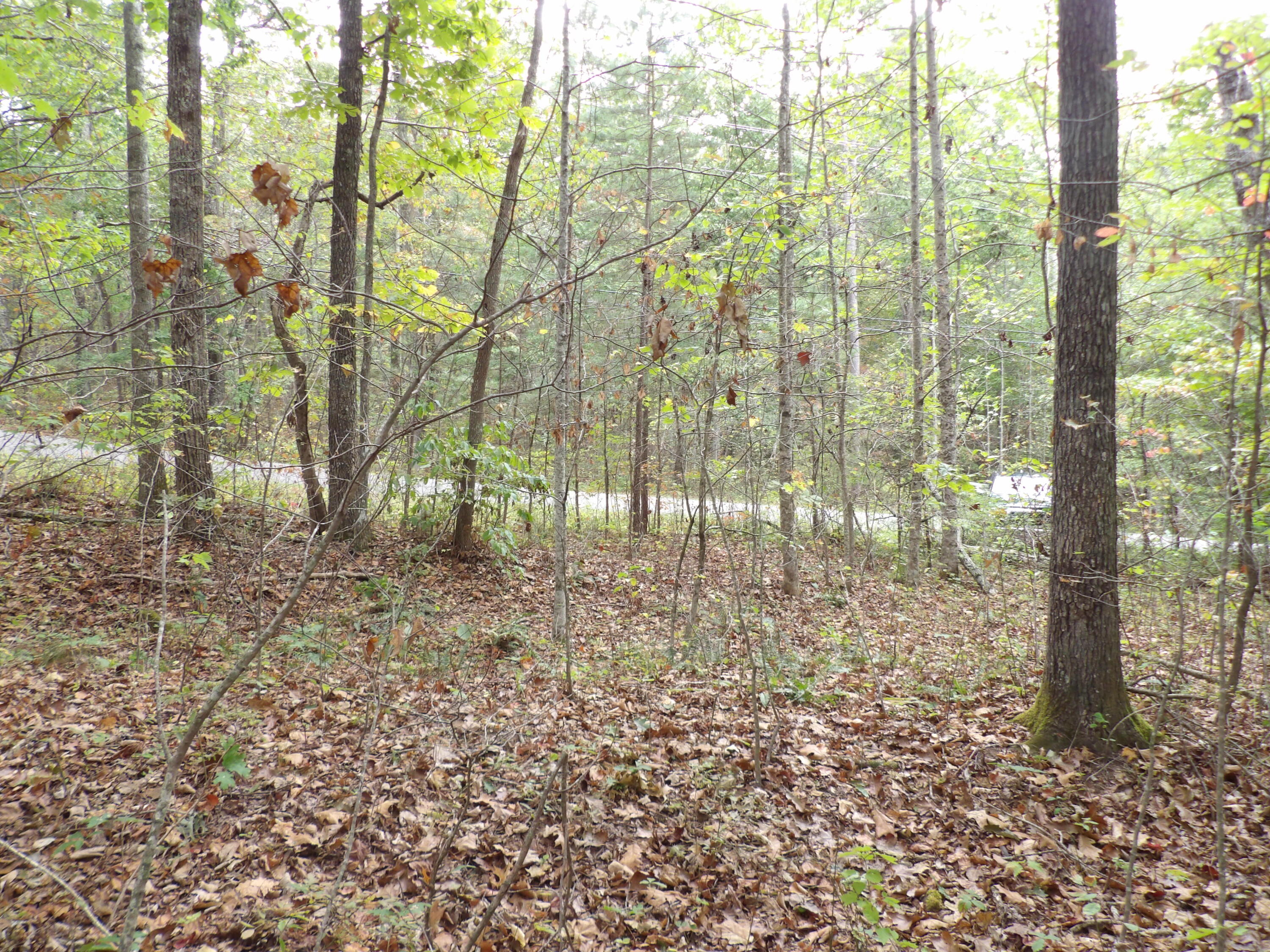 0 Deerhead Road, Unit 1 Dunlap, TN 37327 - Photo 27 of 29 100_0863