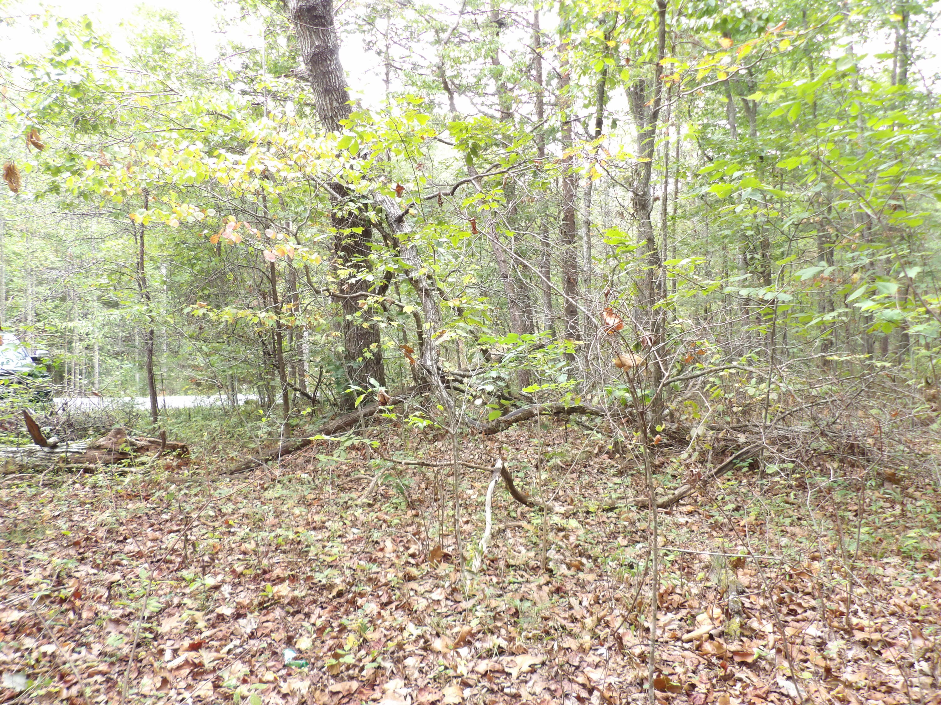 0 Deerhead Road, Unit 1 Dunlap, TN 37327 - Photo 28 of 29 100_0864
