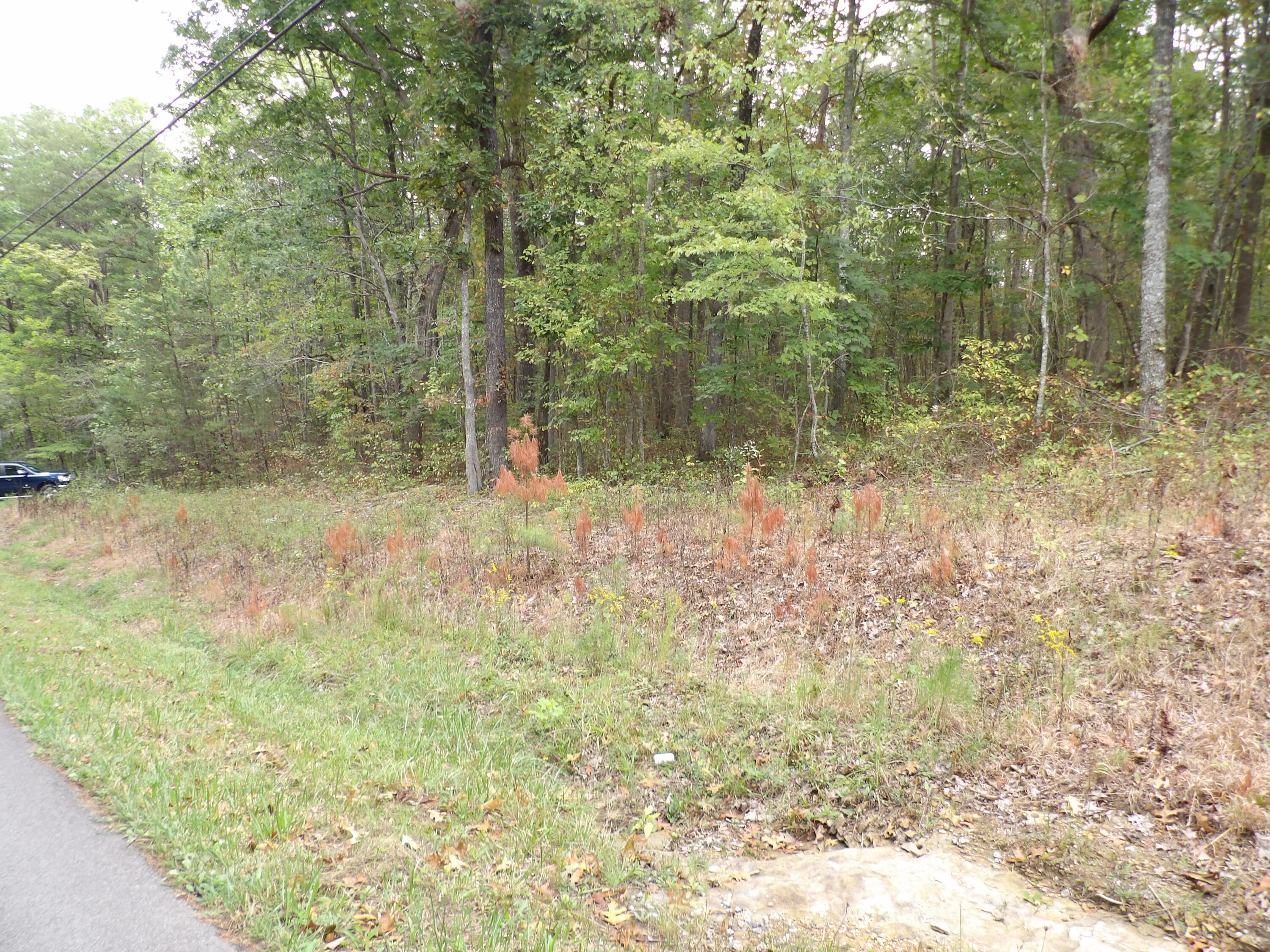 0 Deerhead Road, Unit 1 Dunlap, TN 37327 - Photo 4 of 29 100_0843