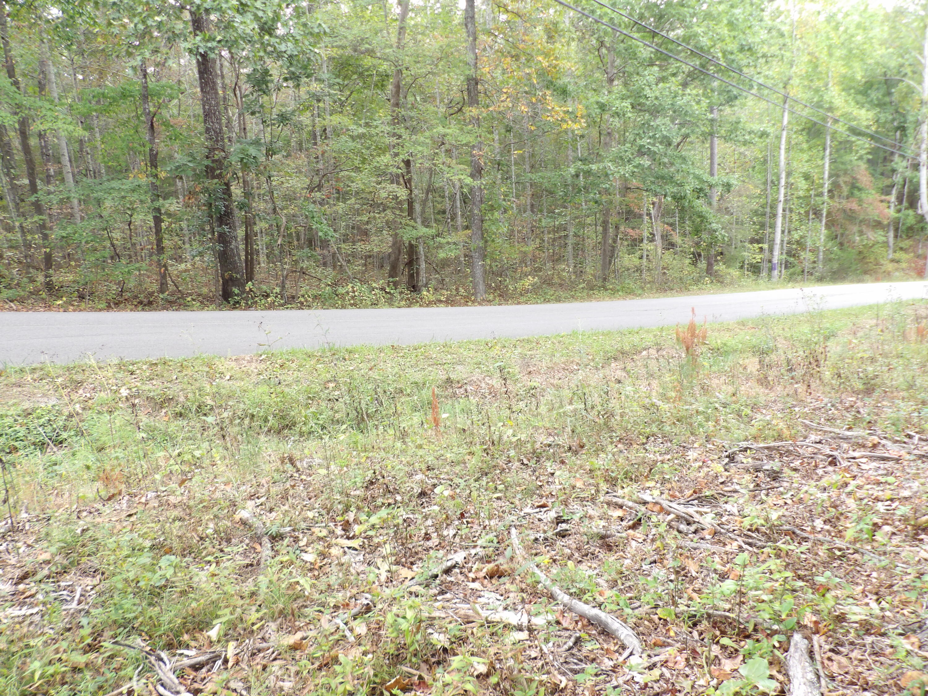 0 Deerhead Road, Unit 1 Dunlap, TN 37327 - Photo 5 of 29 100_0844