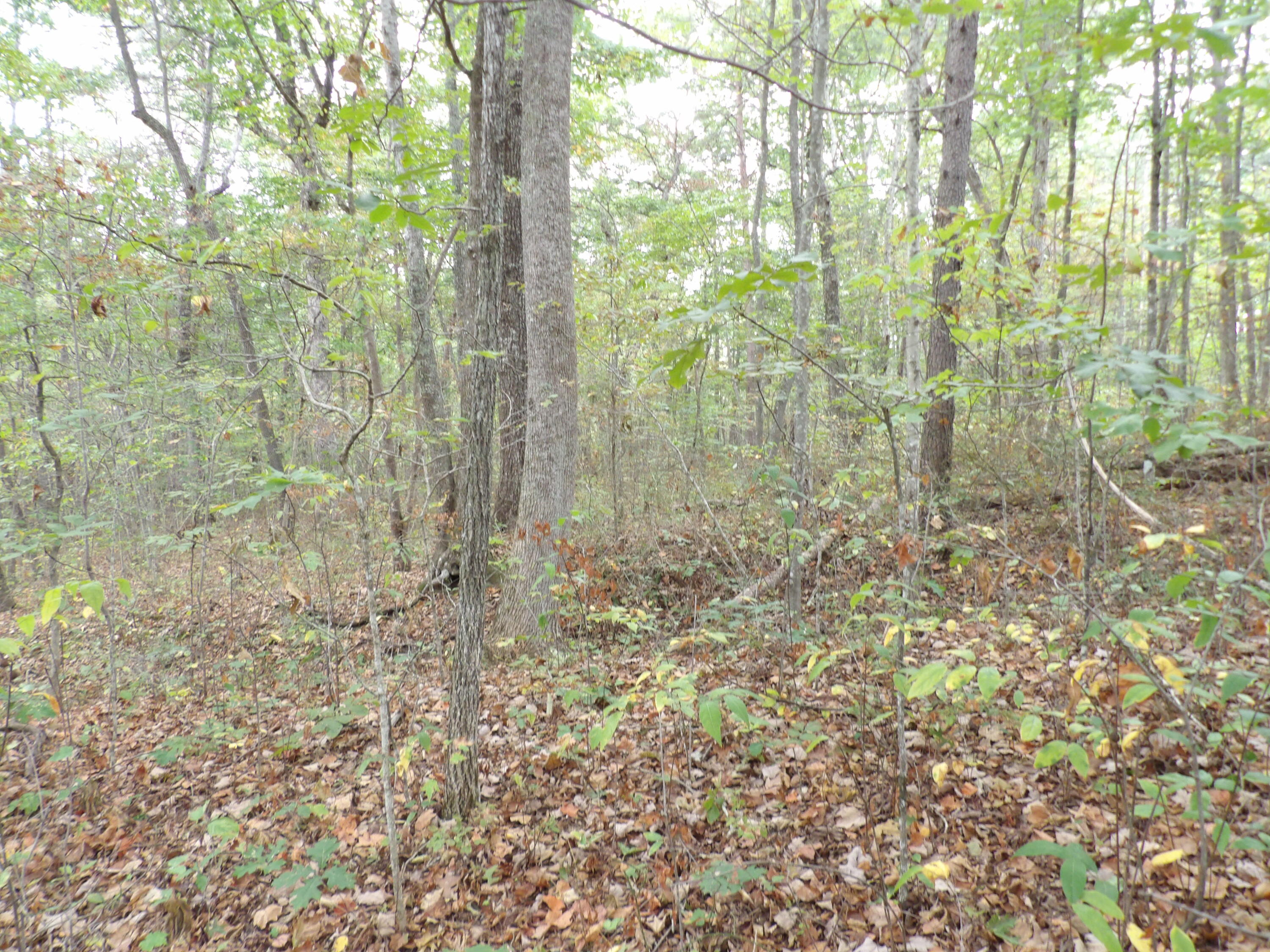 0 Deerhead Road, Unit 1 Dunlap, TN 37327 - Photo 7 of 29 100_0846
