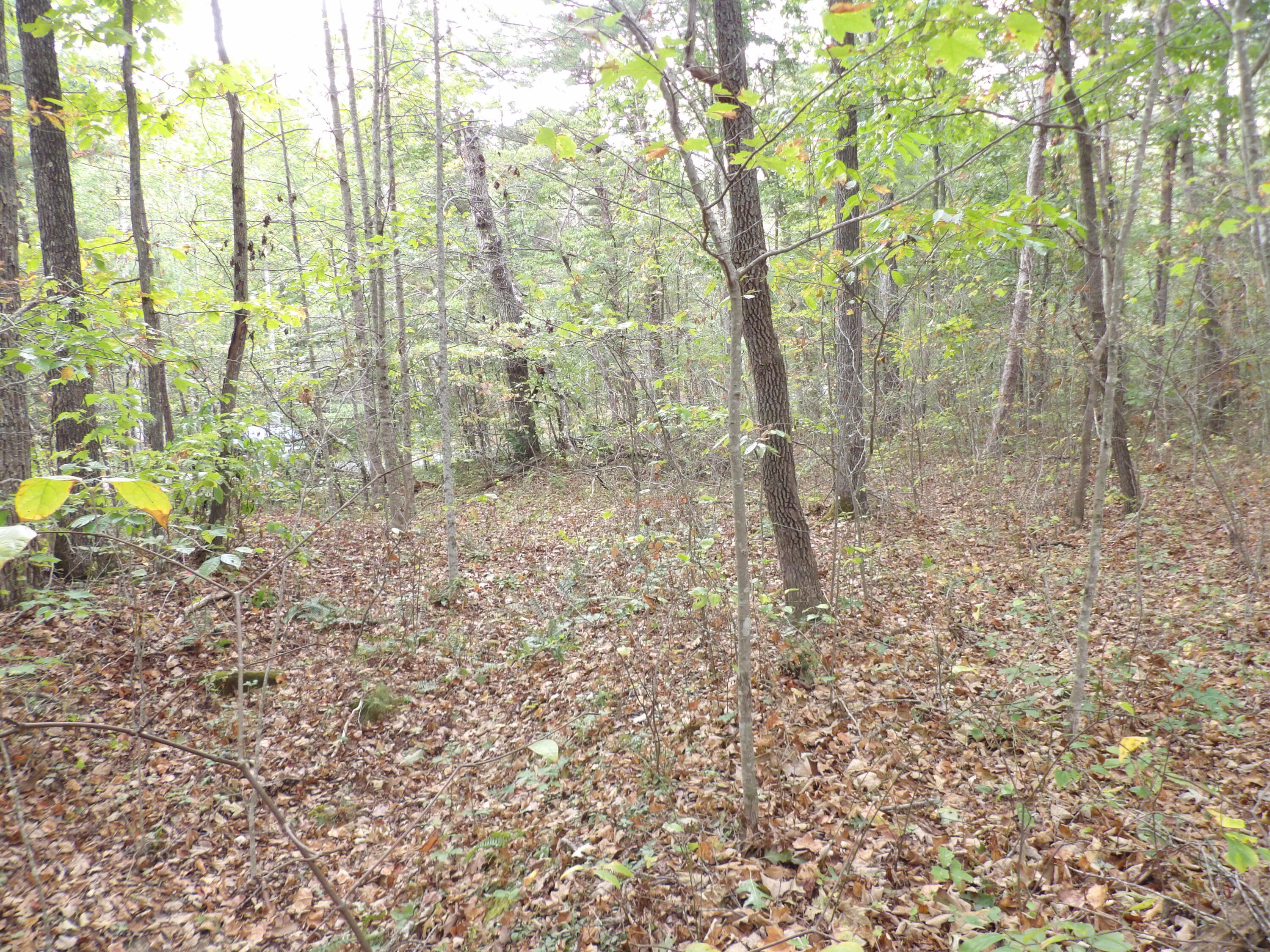 0 Deerhead Road, Unit 1 Dunlap, TN 37327 - Photo 10 of 29 100_0847