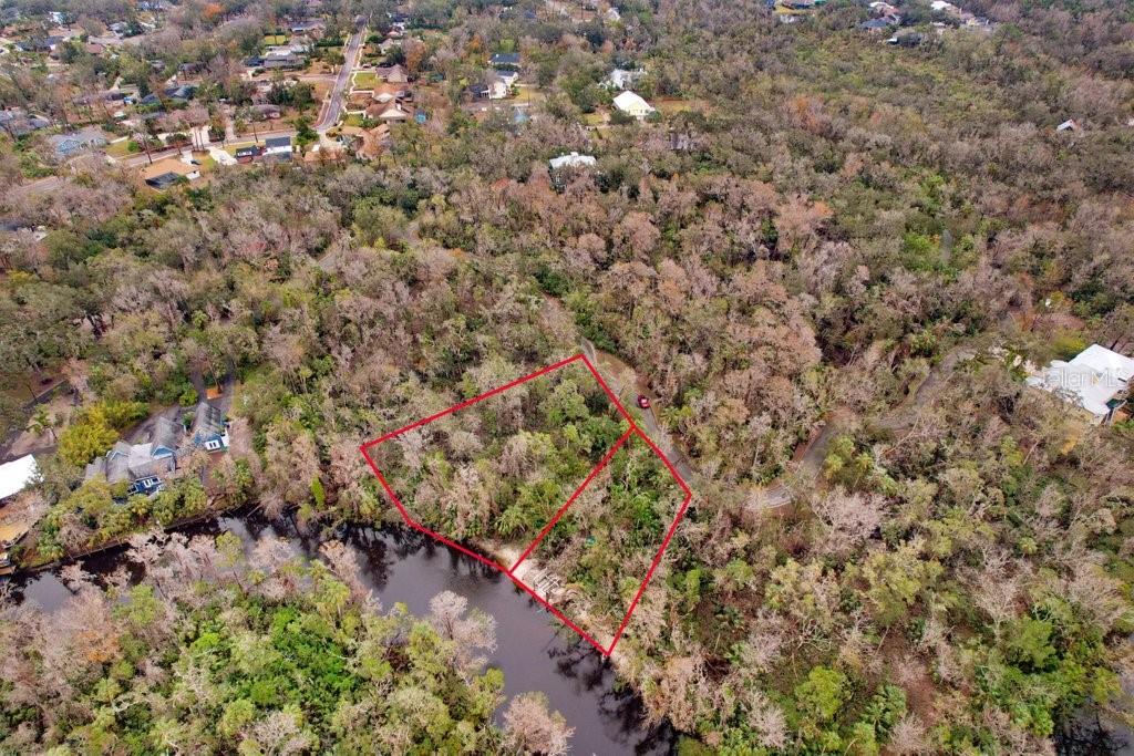 4872 Rambling River Road Brandon, FL 33511 - Photo 10 of 29 a view of a forest with a forest