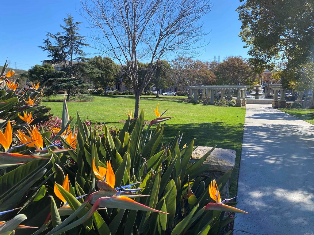 1464 Schoolhouse Way San Marcos, CA 92078 - Photo 47 of 48