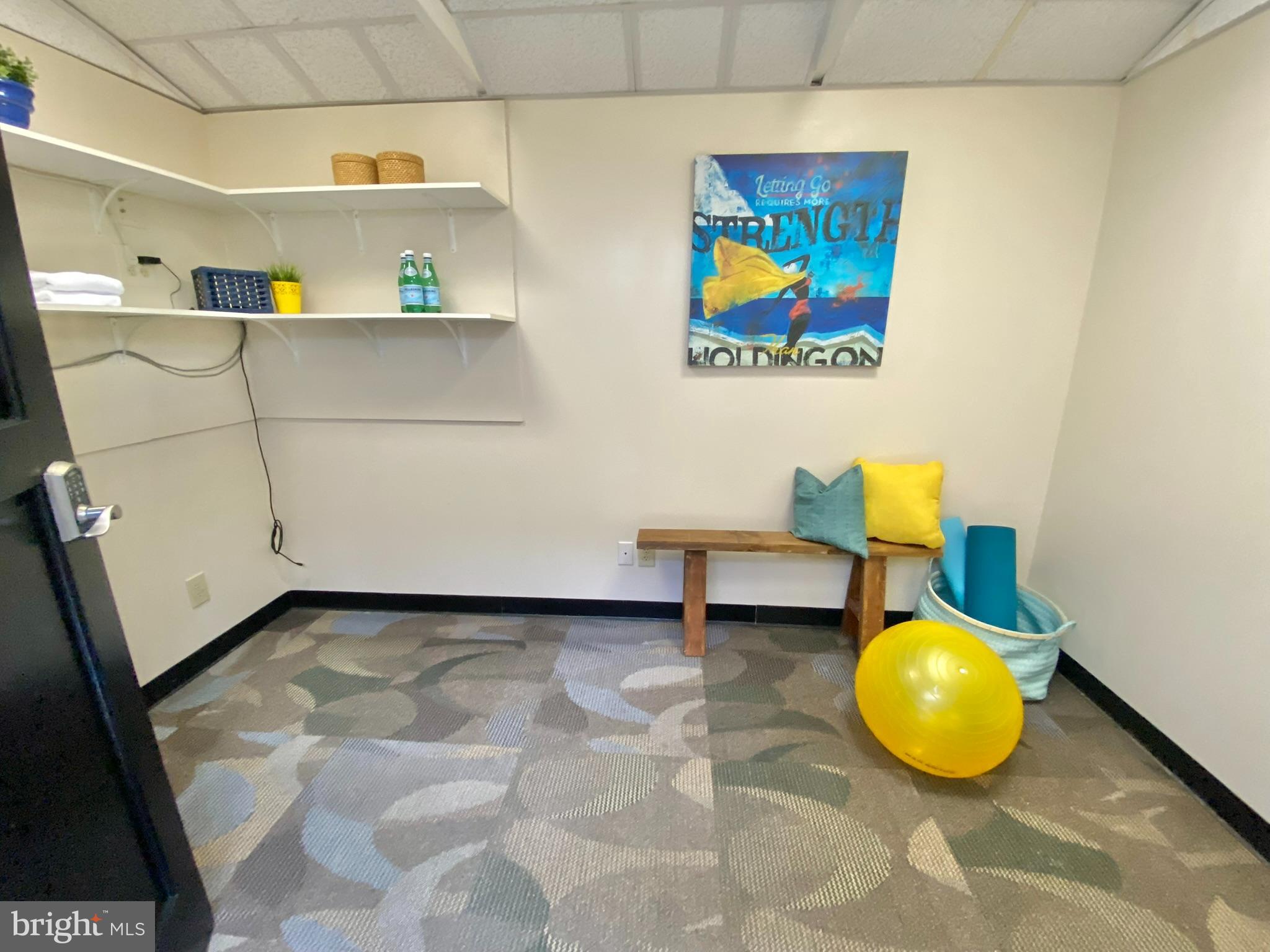 2732 Fort Drive Alexandria, VA 22303 - Photo 43 of 47 a view of a room with wooden floor and cabinet