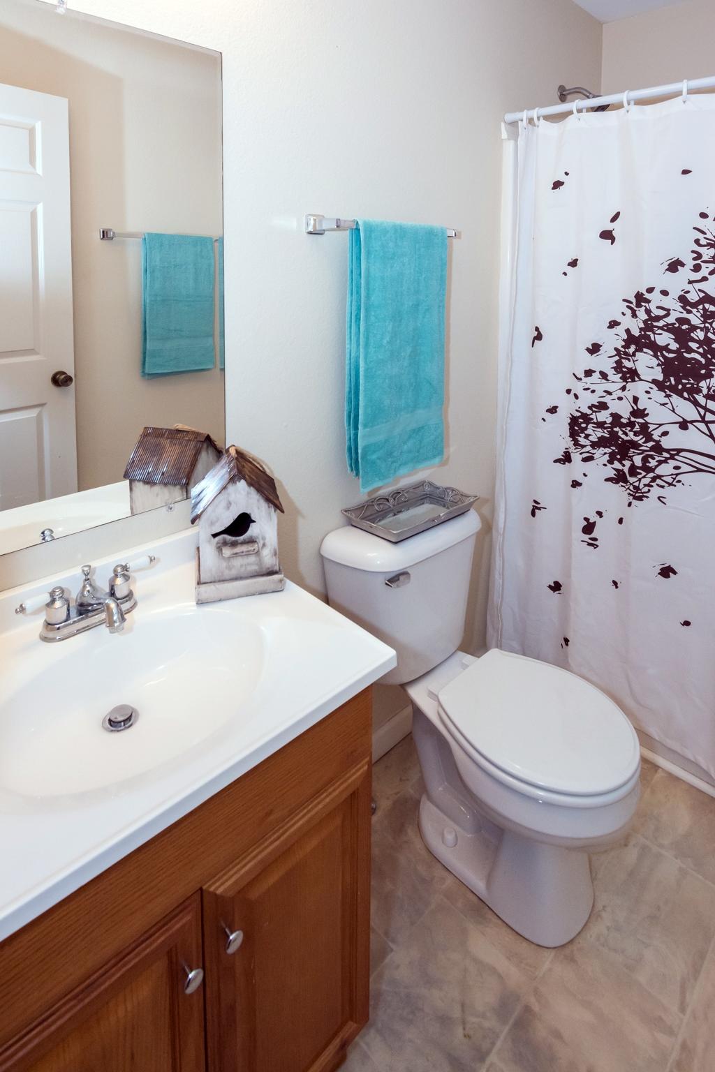 420 Old Mill Road Whitwell, TN 37397 - Photo 15 of 25 Master Bath