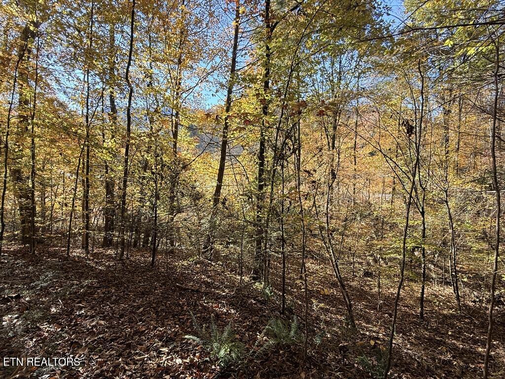 2 Rd Seymour Tn 37865 Seymour, TN 37865 - Photo 5 of 7 CD7C30CA-F17B-496C-8848-6F2597F06B50_1_1