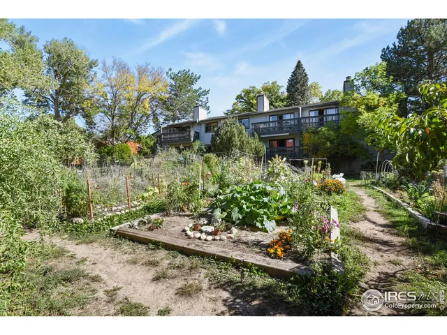 a view of a backyard with plants