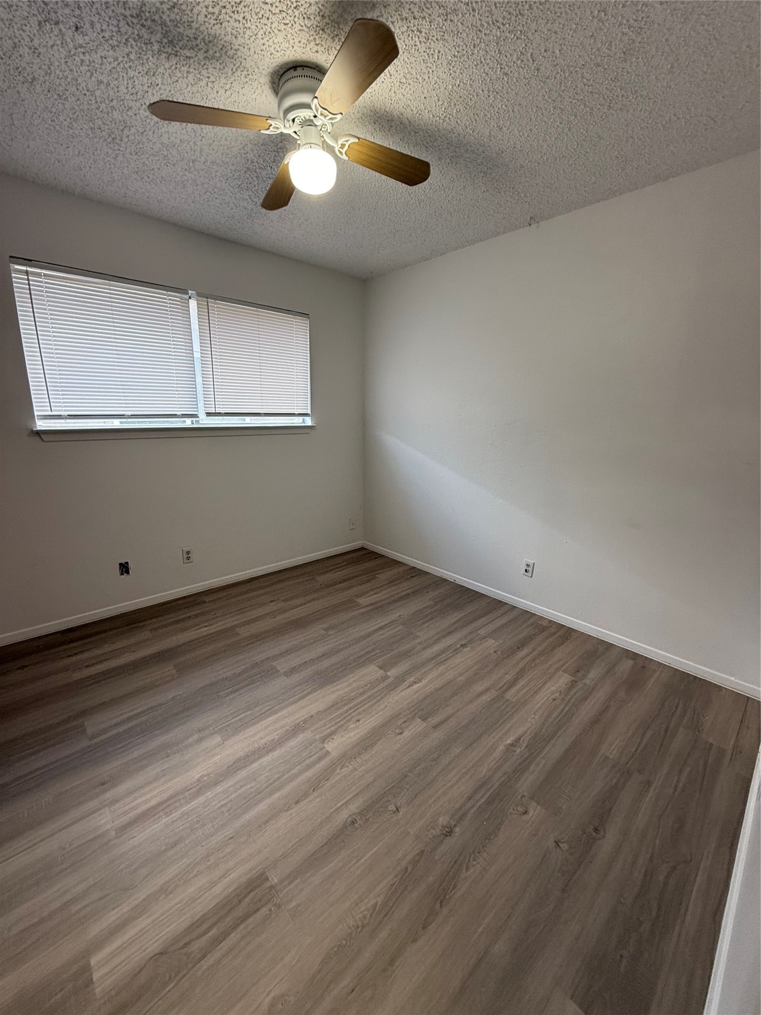 2115 Courtney Street Austin, TX 78745 - Photo 5 of 9