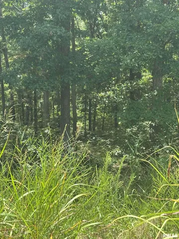 $45,000 | 0 Hawthorn Point, Goreville, IL 62939