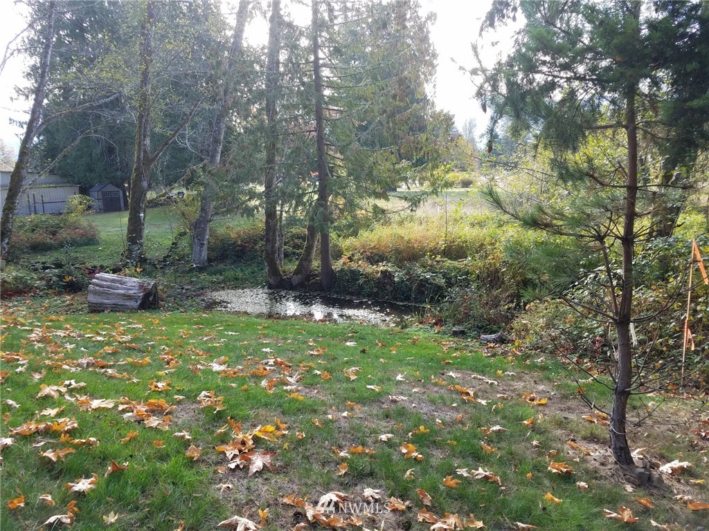 102 Powerhouse Road Packwood, WA 98361 - Photo 3 of 21 Gallery Image 3