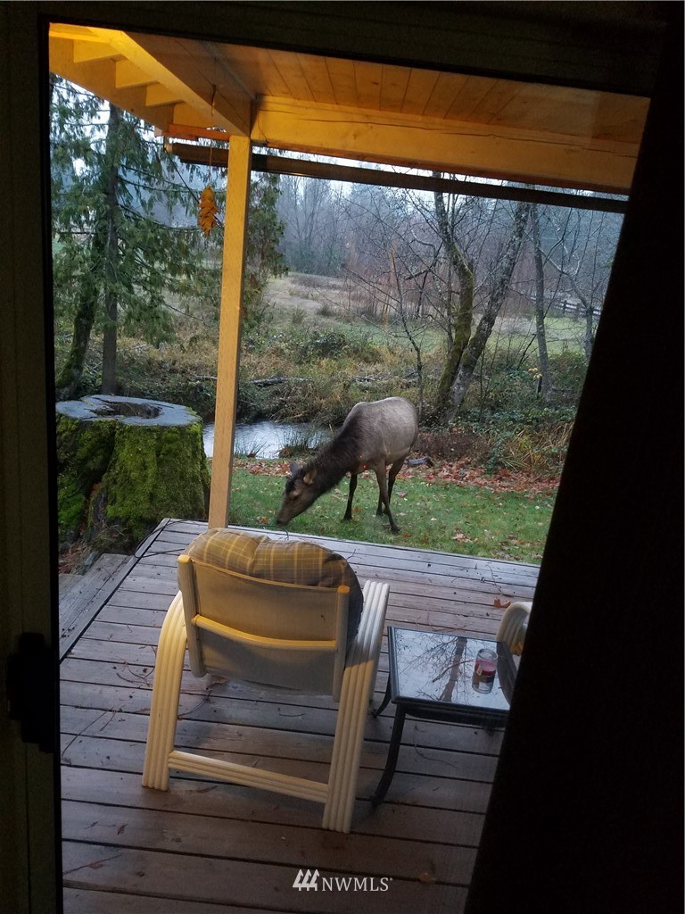 102 Powerhouse Road Packwood, WA 98361 - Photo 5 of 21 Gallery Image 5