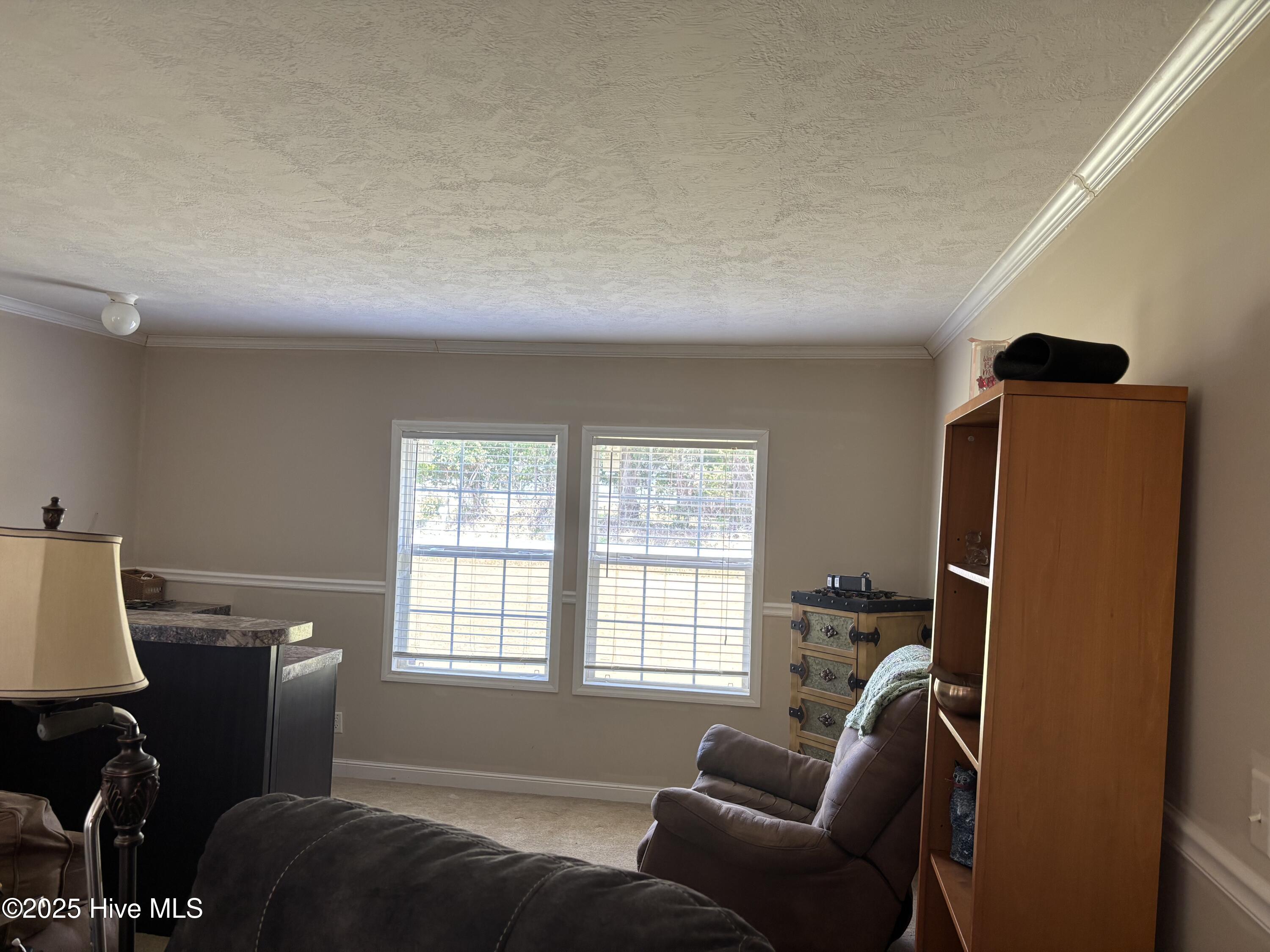 281 South Blizzard Town Road Beulaville, NC 28518 - Photo 12 of 14 IMG_8769