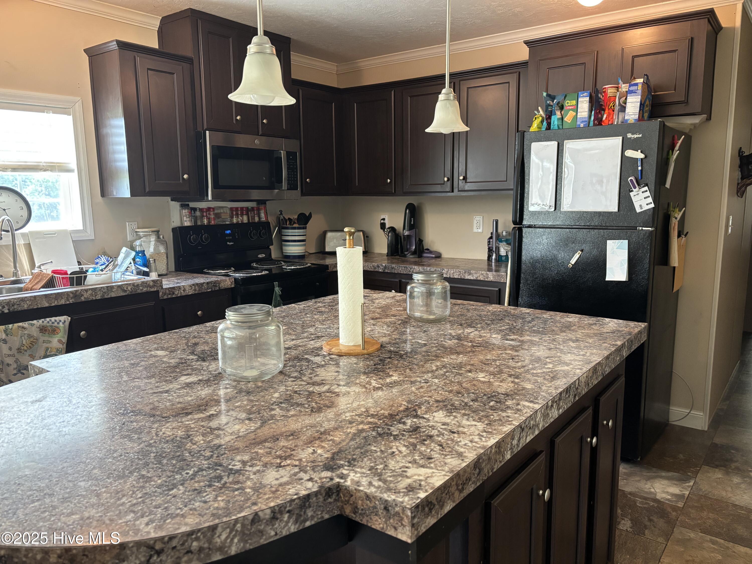 281 South Blizzard Town Road Beulaville, NC 28518 - Photo 3 of 14 IMG_8758