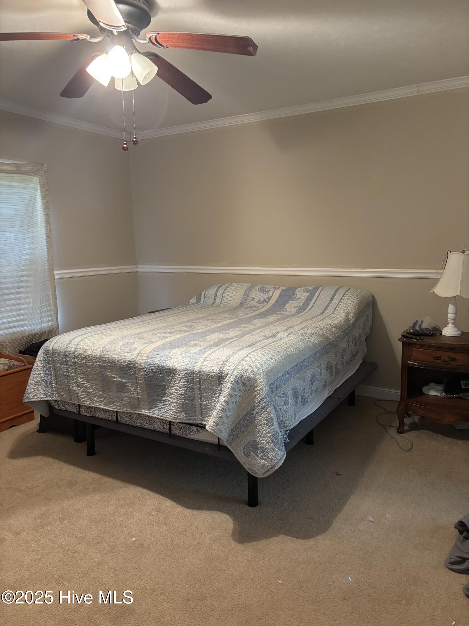 281 South Blizzard Town Road Beulaville, NC 28518 - Photo 5 of 14 IMG_8761