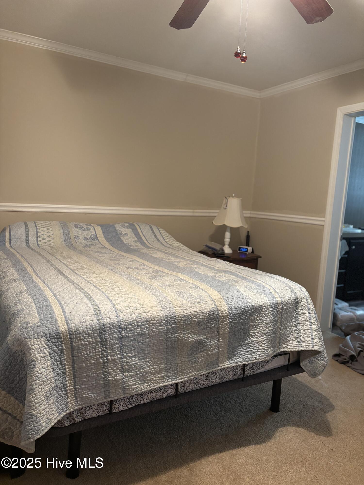 281 South Blizzard Town Road Beulaville, NC 28518 - Photo 6 of 14 IMG_8762