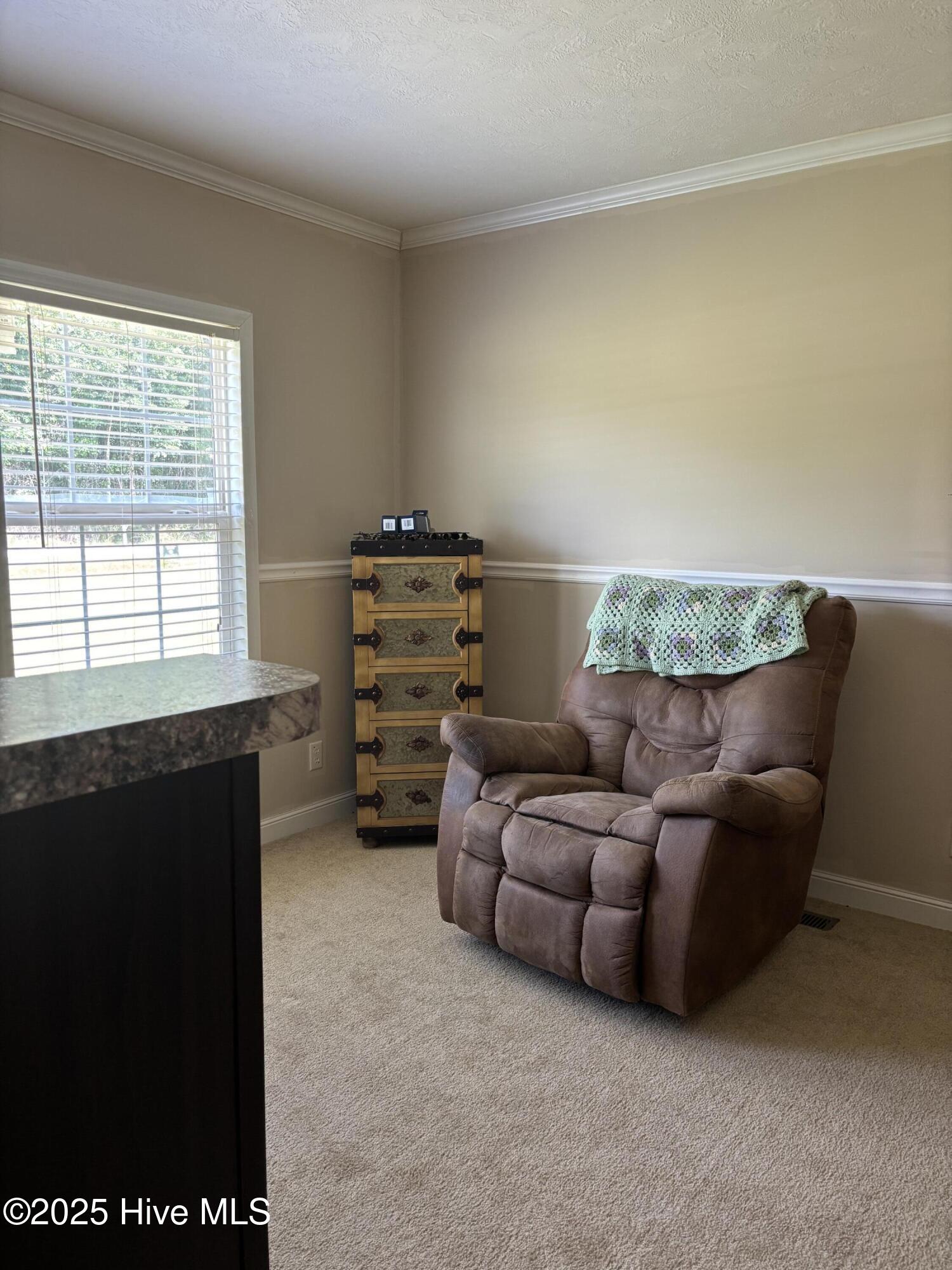 281 South Blizzard Town Road Beulaville, NC 28518 - Photo 9 of 14 IMG_8766