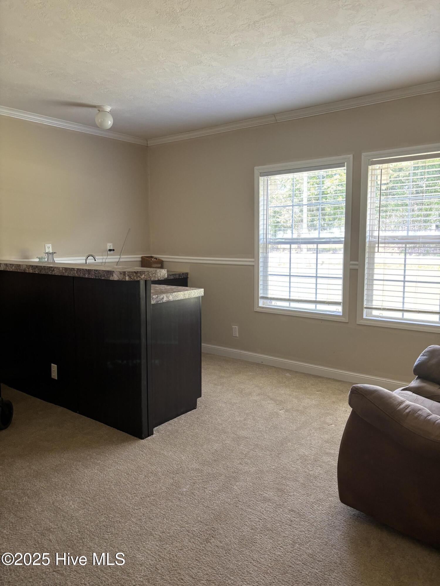 281 South Blizzard Town Road Beulaville, NC 28518 - Photo 10 of 14 IMG_8767