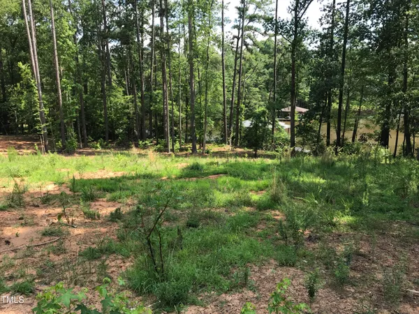 a view of outdoor space with trees all around