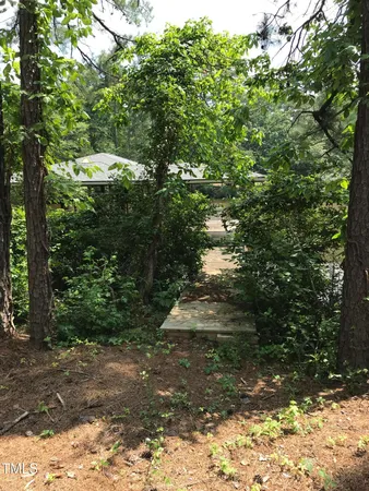 a view of a yard with plants and large trees