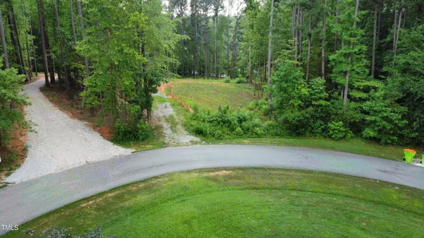 a view of a yard with plants and a trees
