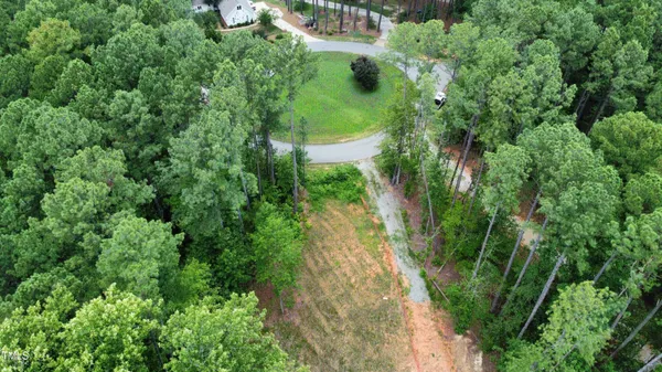 a view of a yard