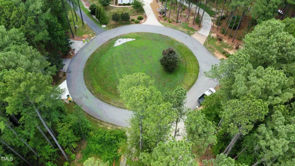 a view of a garden