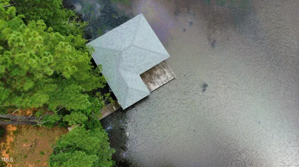 a view of a plant in a garden