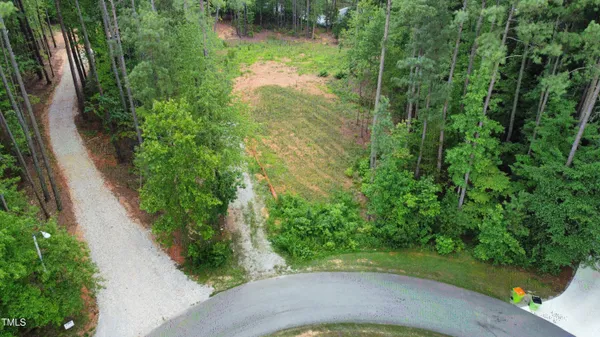 a view of a green yard with large trees