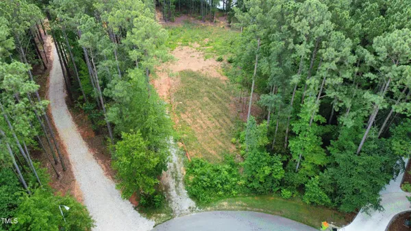 a view of a garden with plants and a bench