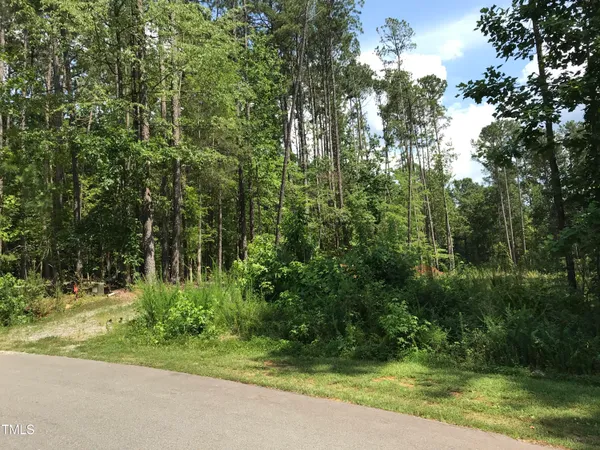 a view of a yard with plants