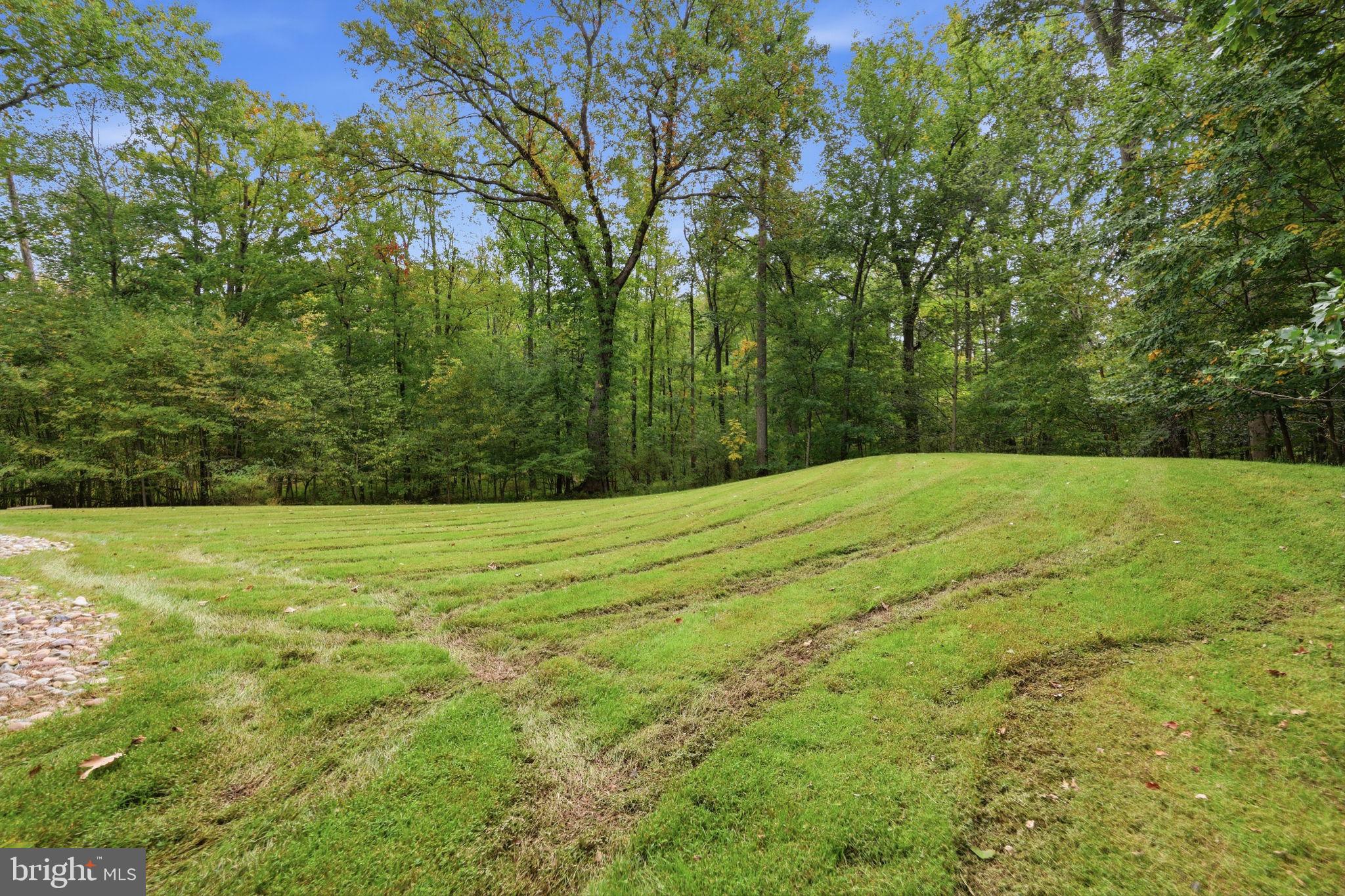 1669 Fennel Road Quakertown, PA 18951 - Photo 48 of 68 Rear yard surrounded by nature