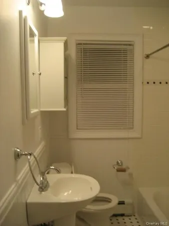 a bathroom with a sink and a toilet