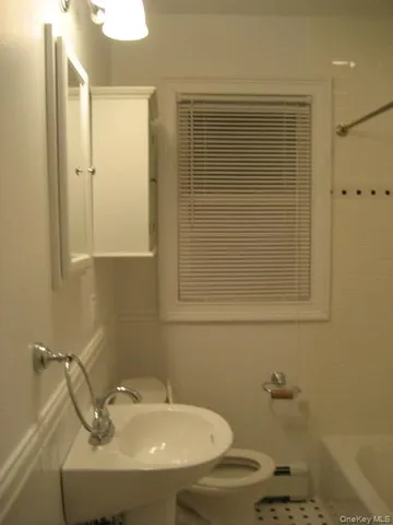 a bathroom with a sink and a toilet