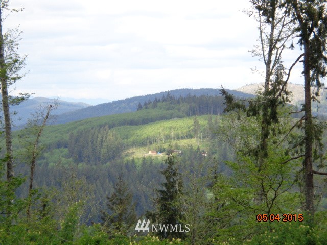 2776 Mt Pleasant Road Kelso, WA 98626 - Photo 19 of 22 Gallery Image 19