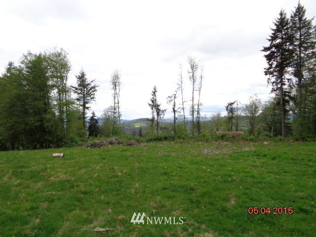 2776 Mt Pleasant Road Kelso, WA 98626 - Photo 20 of 22 Gallery Image 20