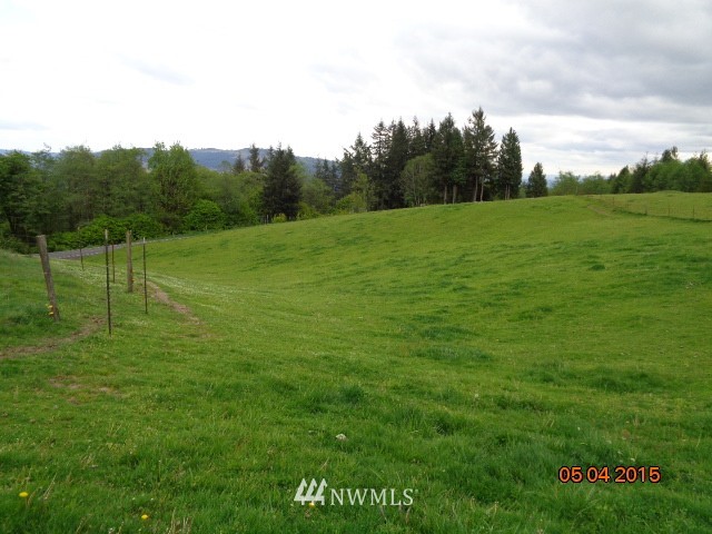 2776 Mt Pleasant Road Kelso, WA 98626 - Photo 21 of 22 Gallery Image 21