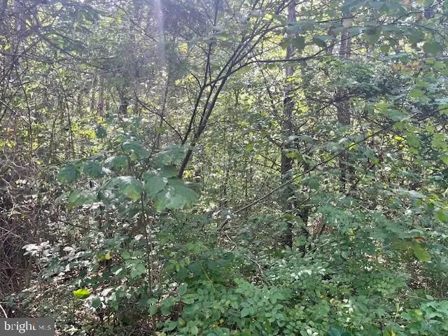 $13,900 | Greenway Lane, Luray, VA 22835