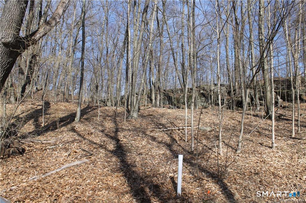 6 Alfredson Road Sherman, CT 06784 - Photo 3 of 9