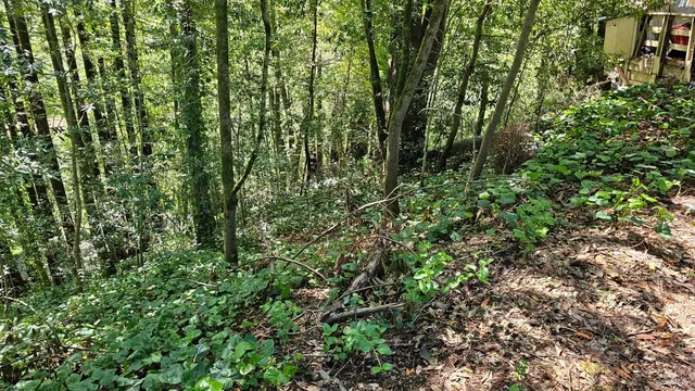 $25,000 | 15953 Riverside (palo Alto) Drive, Guerneville, CA 95446