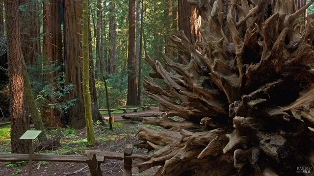 $25,000 | 15953 Riverside (palo Alto) Drive, Guerneville, CA 95446