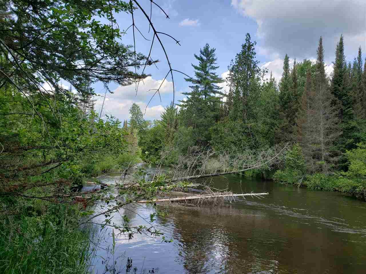 0 Mcmaster's Bridge Road Grayling, MI 49738 - Photo 1 of 9 Gallery Image 1