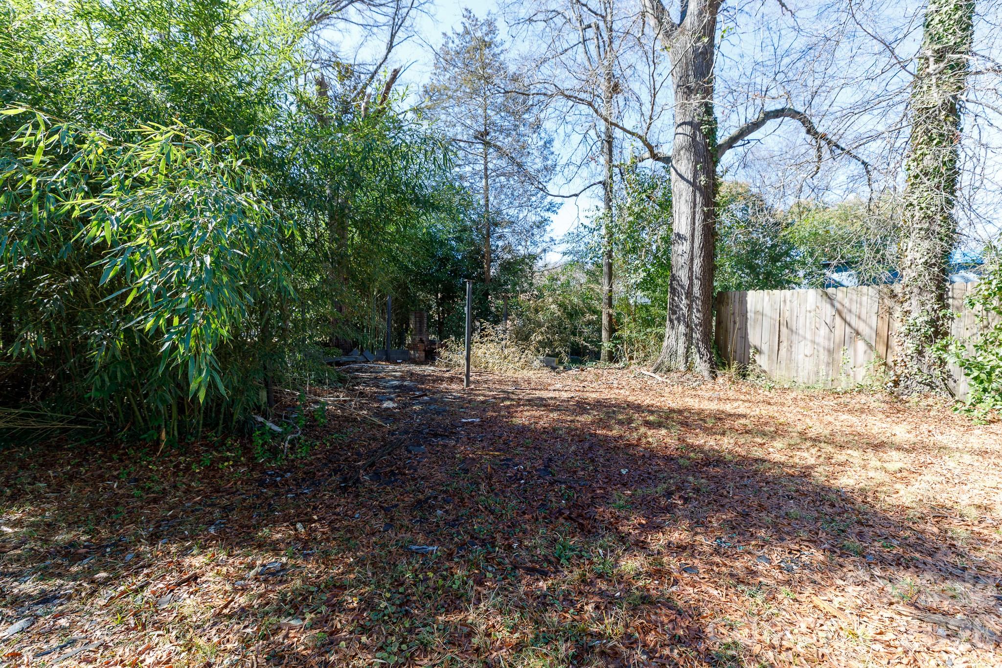 723 Finley Road Rock Hill, SC 29730 - Photo 19 of 22 a view of backyard with green space
