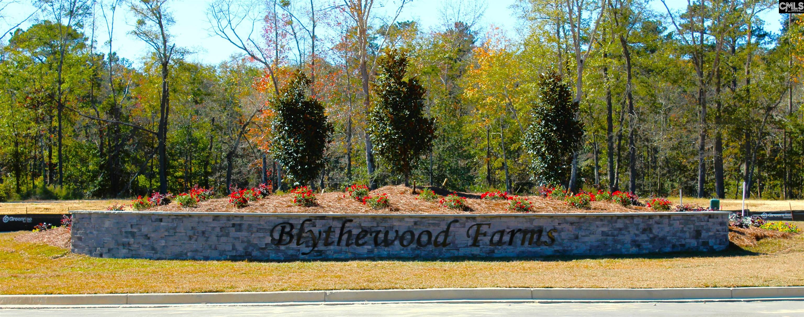 3069 Hanging Valley Road Blythewood, SC 29016 - Photo 40 of 40 Gallery Image 40