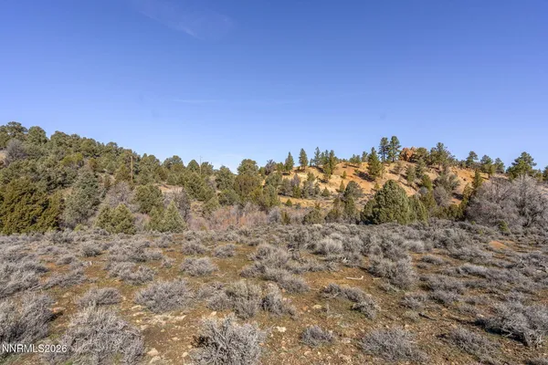 a view of a dry space with a mountain in the background