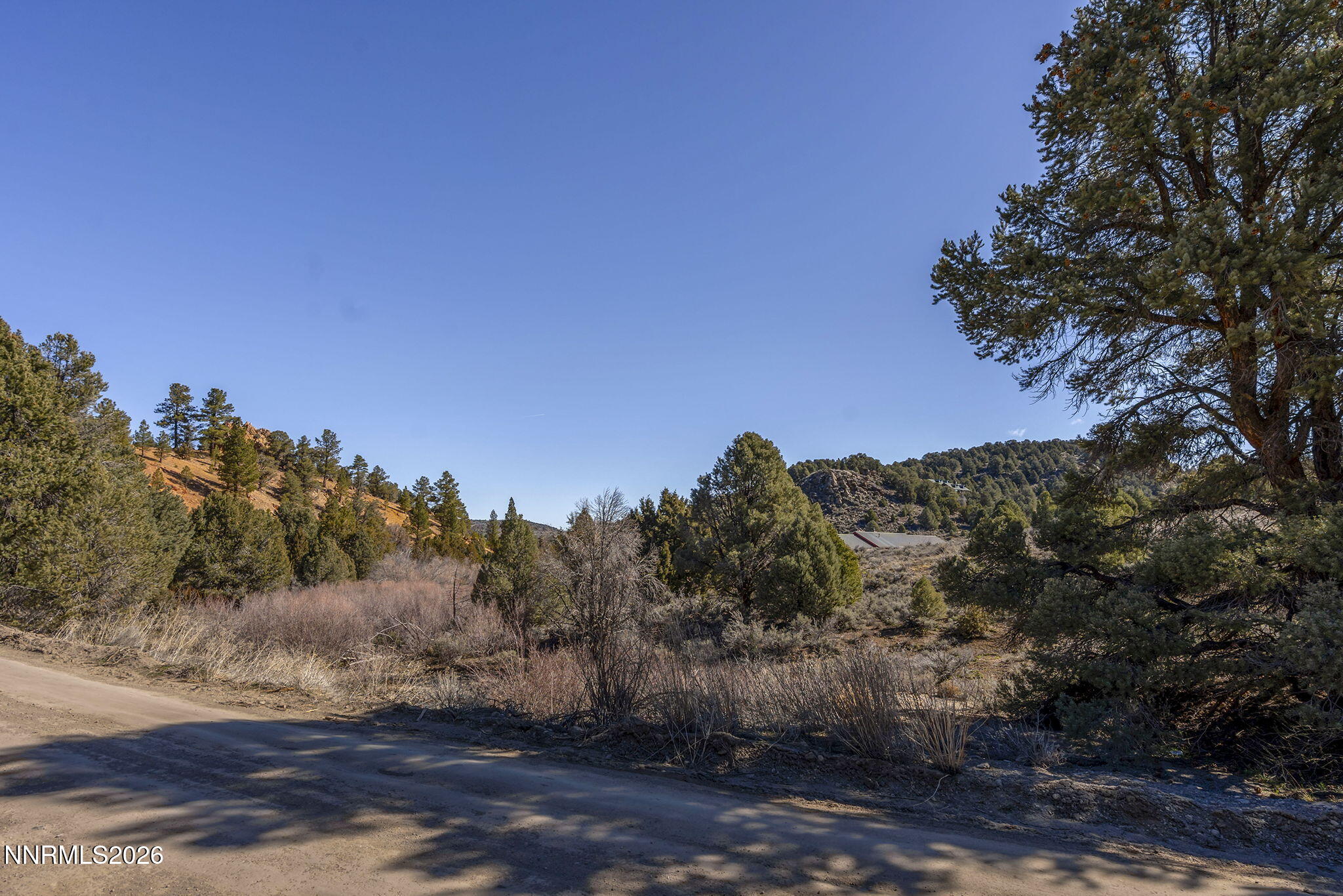2111 Empire Road Reno, NV 89521 - Photo 3 of 16 a view of a city with lush green forest