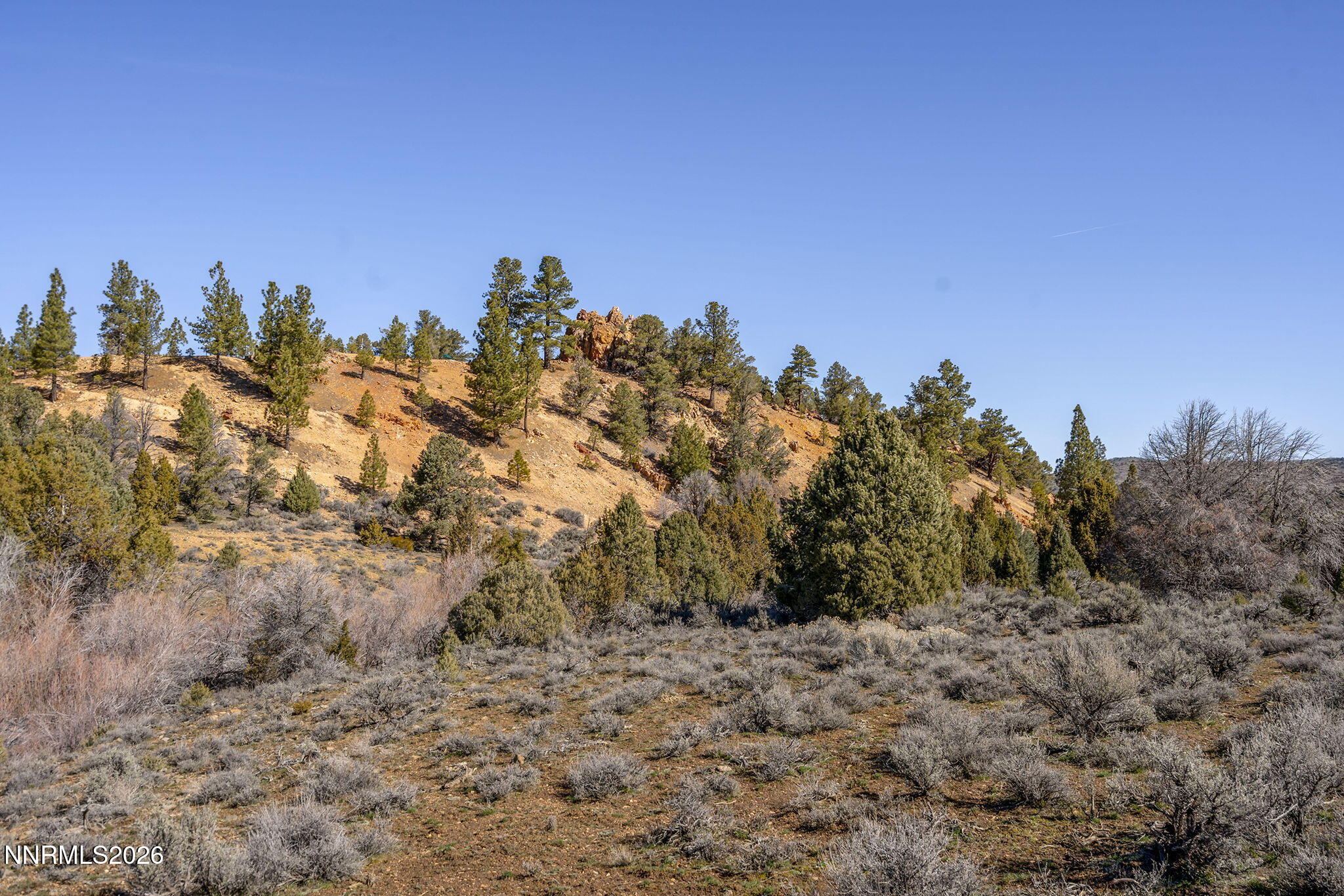 2111 Empire Road Reno, NV 89521 - Photo 4 of 16 a view of a dry yard with trees in the background