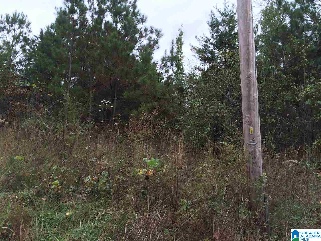 Page Spring Road, Unit 4 Arab, AL 35016 - Photo 12 of 29